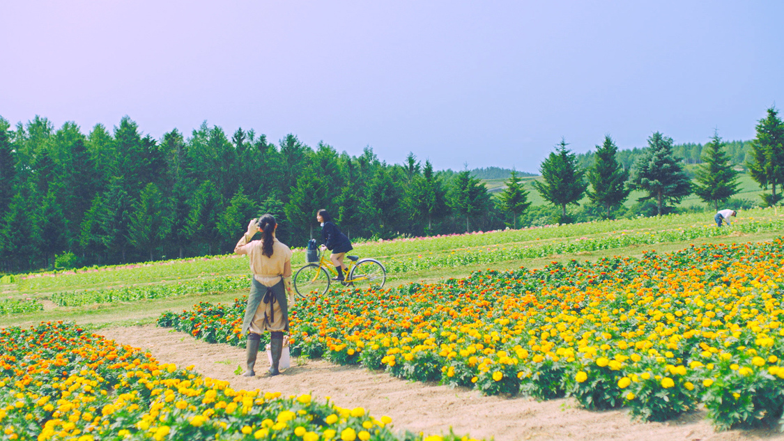 AKB48 56thシングル「サステナブル」より