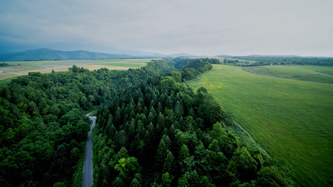 AKB48 56thシングル「サステナブル」より