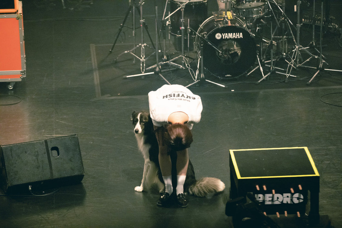PEDRO＜DOG IN CLASSROOM TOUR FINAL＞｜東京 TSUTAYA O-EAST（2019年8月29日）