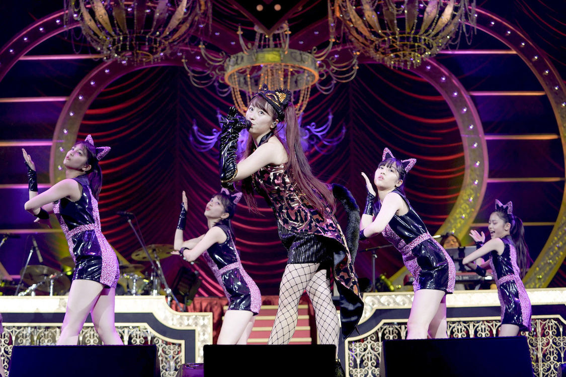 ＜AYAKA NATION 2019 in Yokohama Arena＞