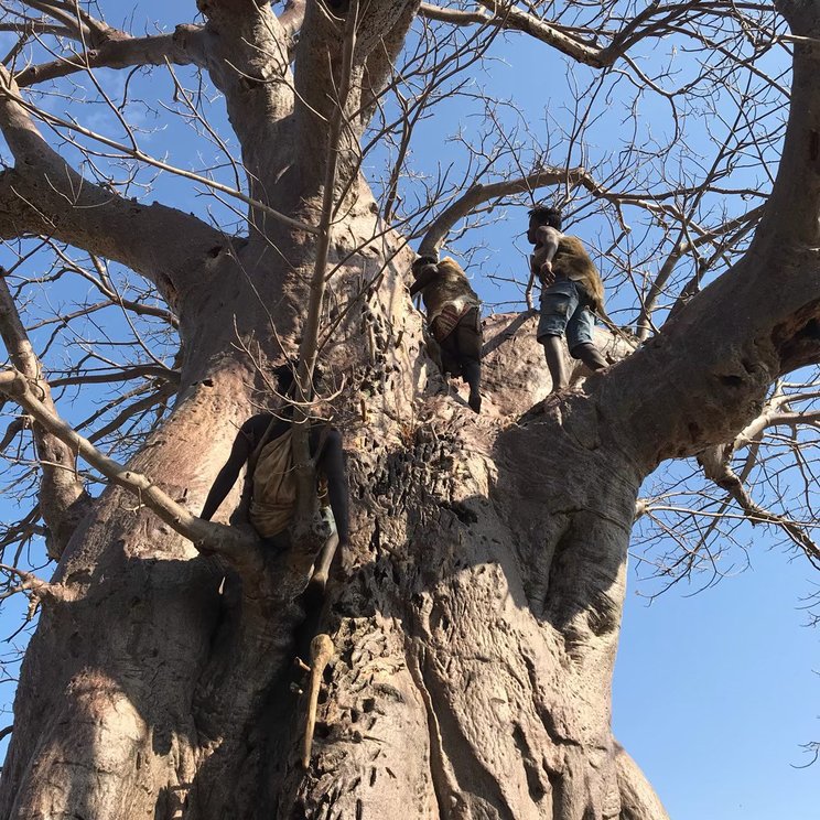 日本テレビ系列『所さんの目がテン！』より