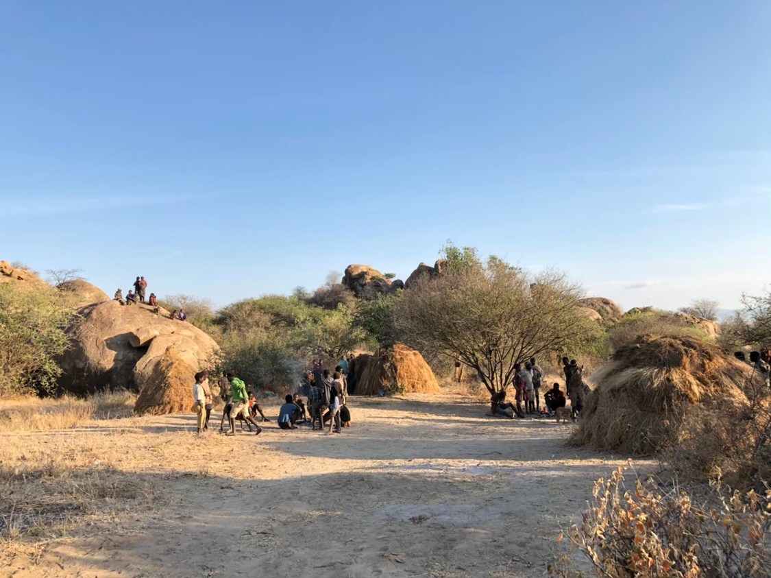 日本テレビ系列『所さんの目がテン！』より