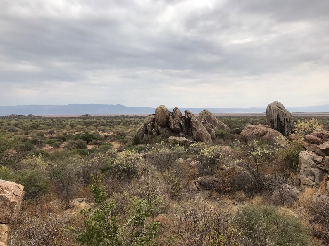 日本テレビ系列『所さんの目がテン！』より