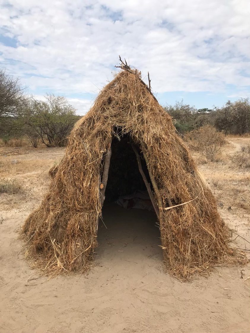 日本テレビ系列『所さんの目がテン！』より
