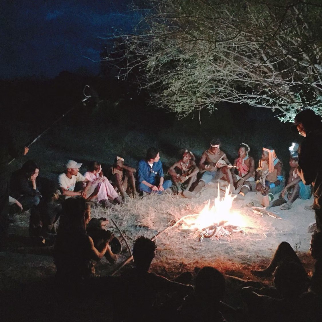 日本テレビ系列『所さんの目がテン！』より