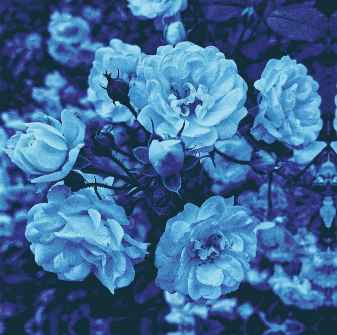 RAY 1stシングル「Blue」