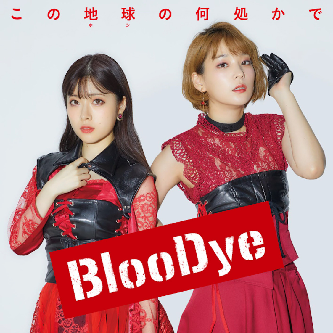BlooDye盤 TYPE-A