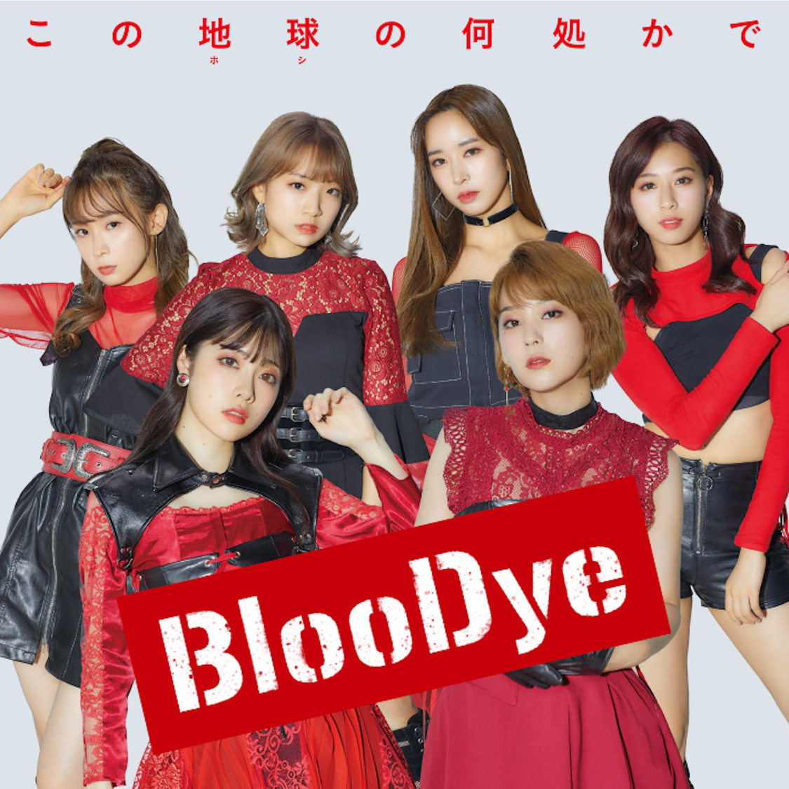 BlooDye盤 TYPE-B