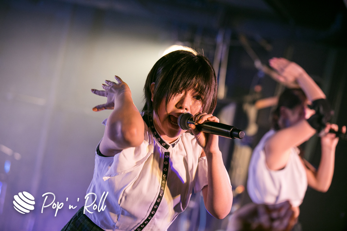 あゆみくりかまき＜GIG TAKAHASHI 2019＞