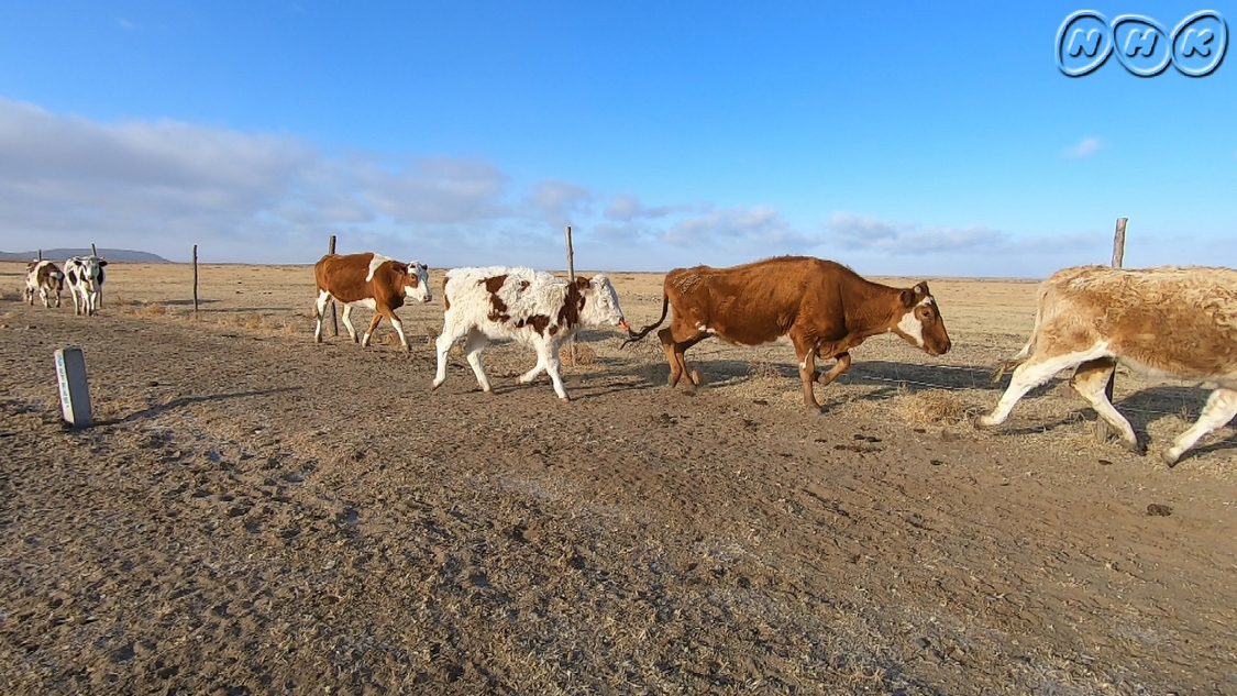 『モノさん、おしえて。』