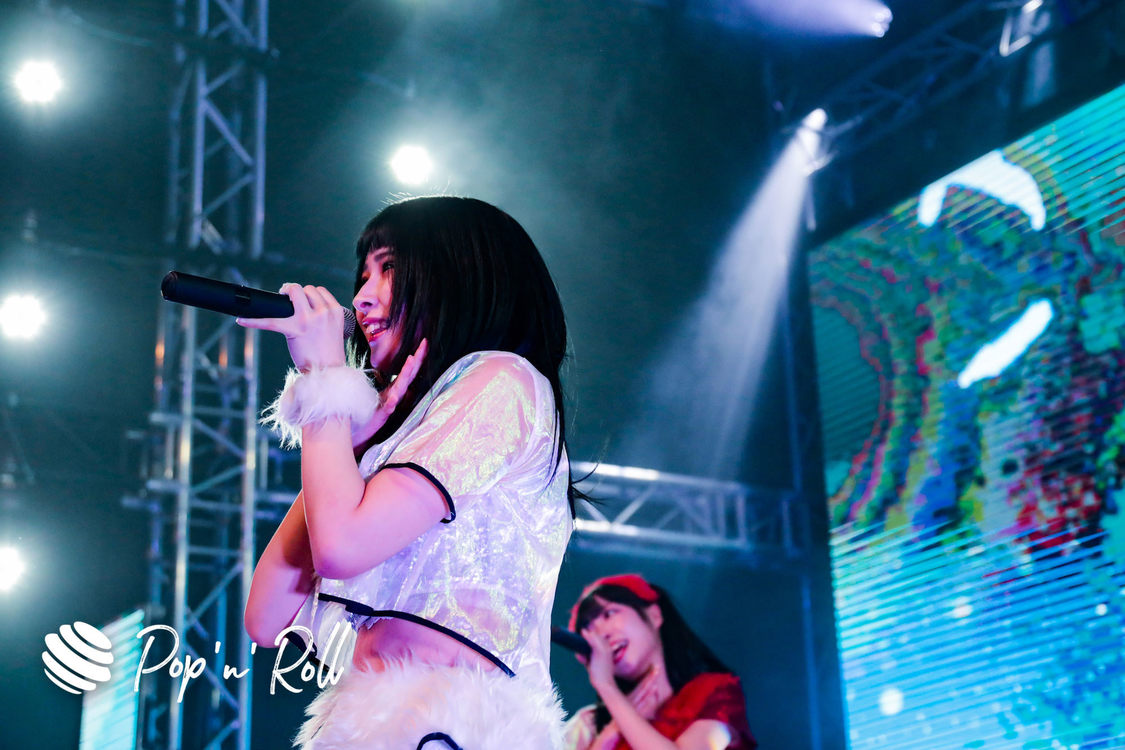 クマリデパート＜TERASHIMA KAWAII FESTIVAL vol.2＞｜2019年12月15日（日）横浜ブロンテ