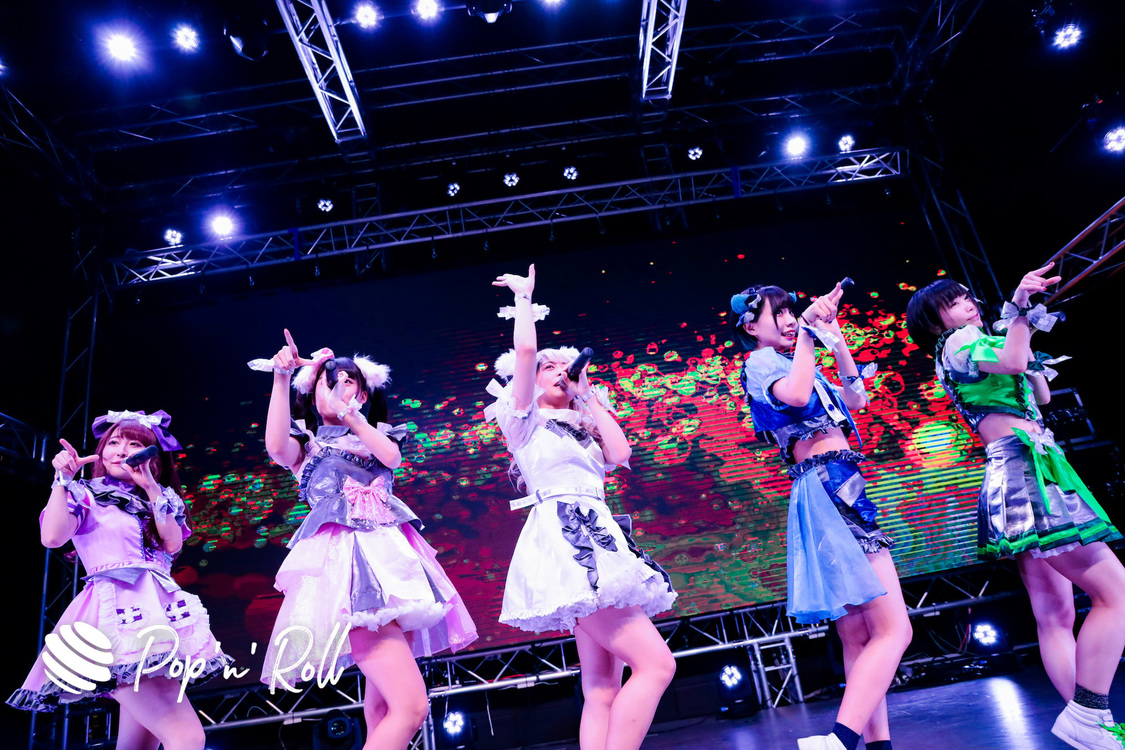 ENGAG.ING＜TERASHIMA KAWAII FESTIVAL vol.2＞｜2019年12月15日（日）横浜ブロンテ