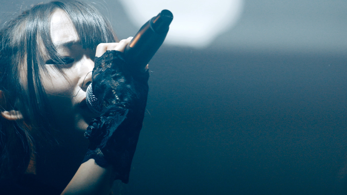 「FLY HIGHER AGAIN [live clip]」より