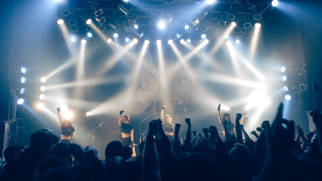 「FLY HIGHER AGAIN [live clip]」より