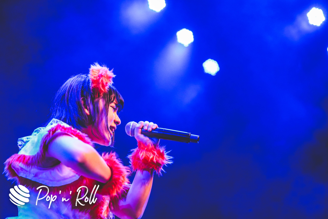 キャンディzoo＜MyDearDarlin'お披露目LIVE＞｜2020年1月26日（日）神田明神ホール