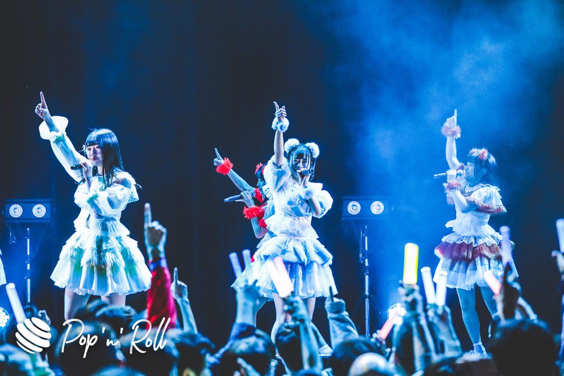 キャンディzoo＜MyDearDarlin'お披露目LIVE＞｜2020年1月26日（日）神田明神ホール