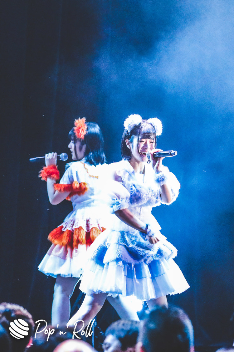 キャンディzoo＜MyDearDarlin'お披露目LIVE＞｜2020年1月26日（日）神田明神ホール