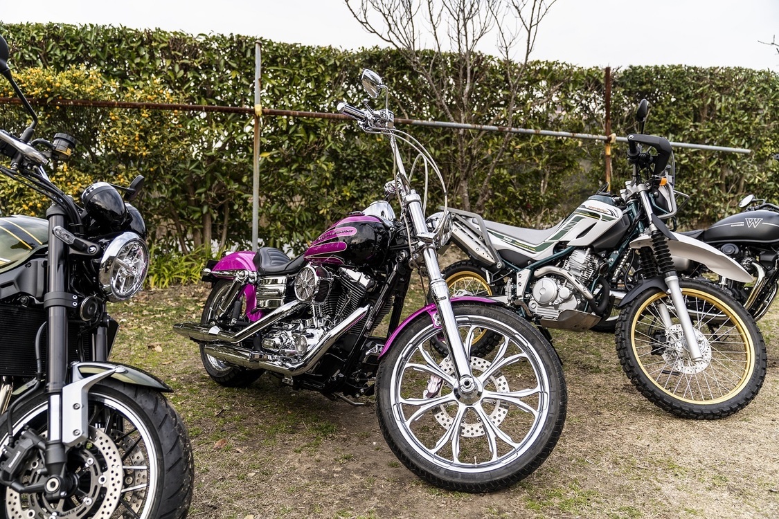 『おぎやはぎのハピキャン』より