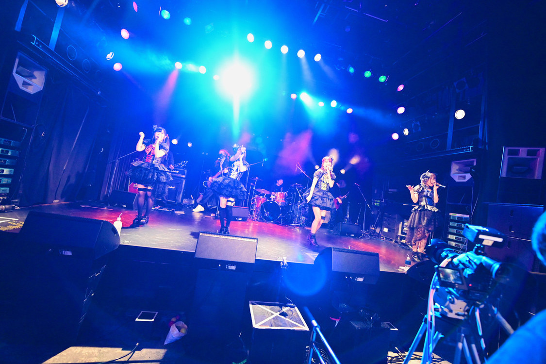 ＜HOT DOG CAT 3rdワンマンライブ〜わんにゃんオリンピック2020〜＞渋谷WWW（2020年3月3日）