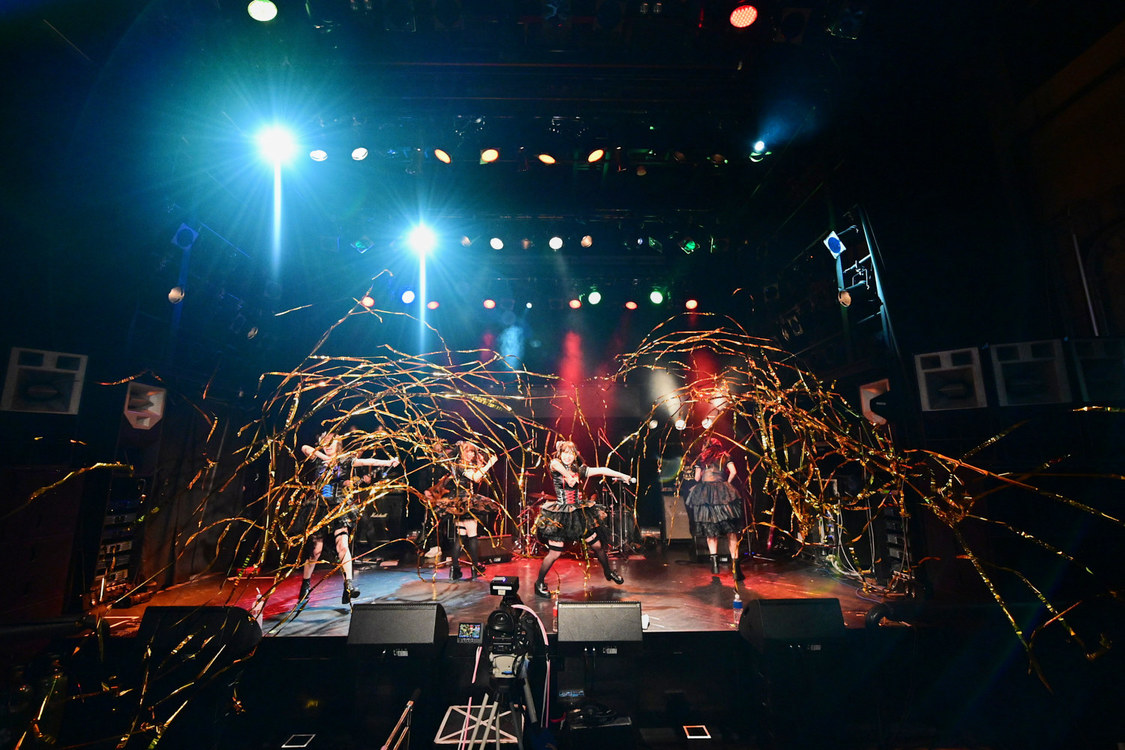 ＜HOT DOG CAT 3rdワンマンライブ〜わんにゃんオリンピック2020〜＞渋谷WWW（2020年3月3日）