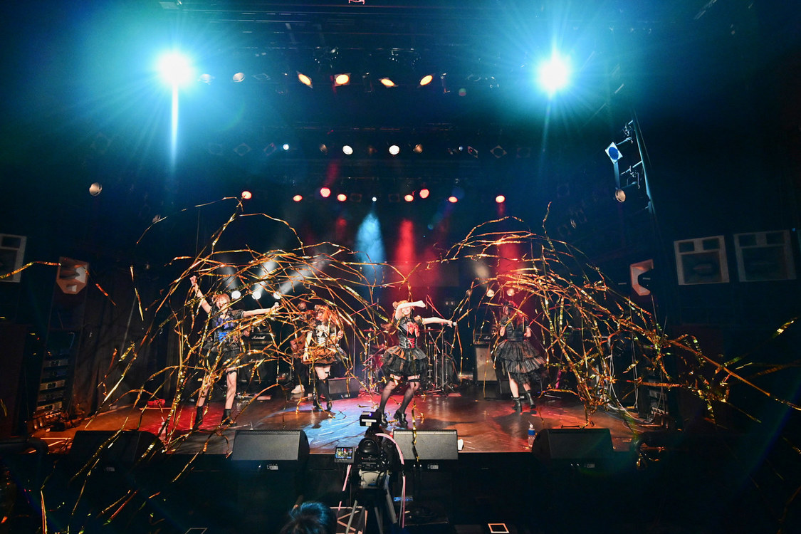 ＜HOT DOG CAT 3rdワンマンライブ〜わんにゃんオリンピック2020〜＞渋谷WWW（2020年3月3日）