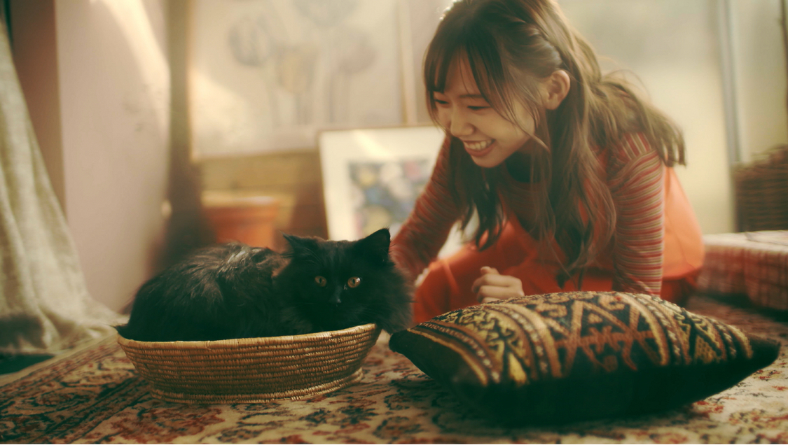 「最後の選択肢」MVより