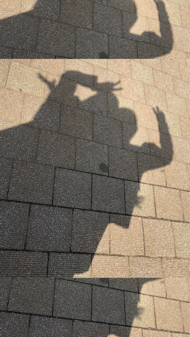 『「#高校生300万人の最高にエモい」 ドコモWEBムービー』より