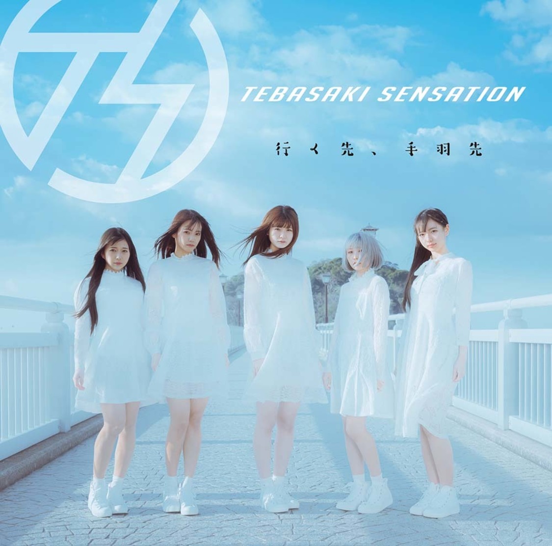 アルバム『行く先、手羽先』【醤油盤】