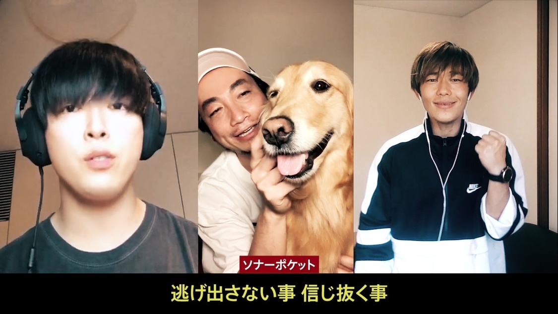 ソナーポケット