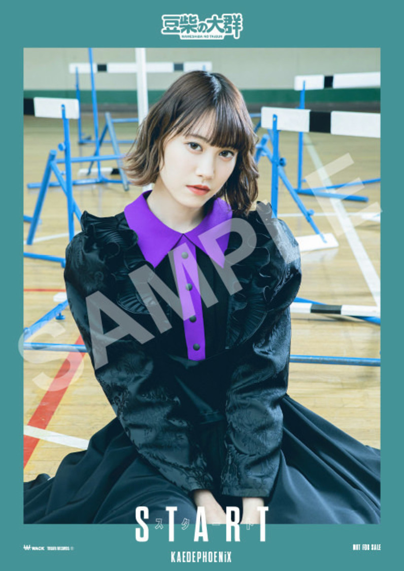 豆柴の大群 1stアルバム『スタート』TOWER RECORDS（店舗）購入特典