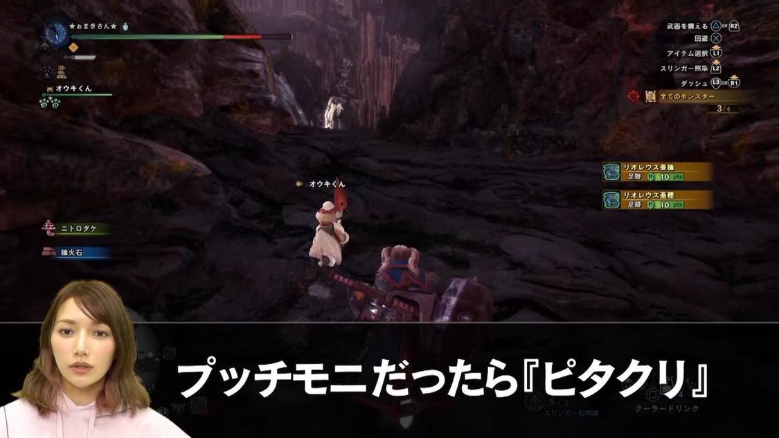 『ゴマキのギルド』動画より