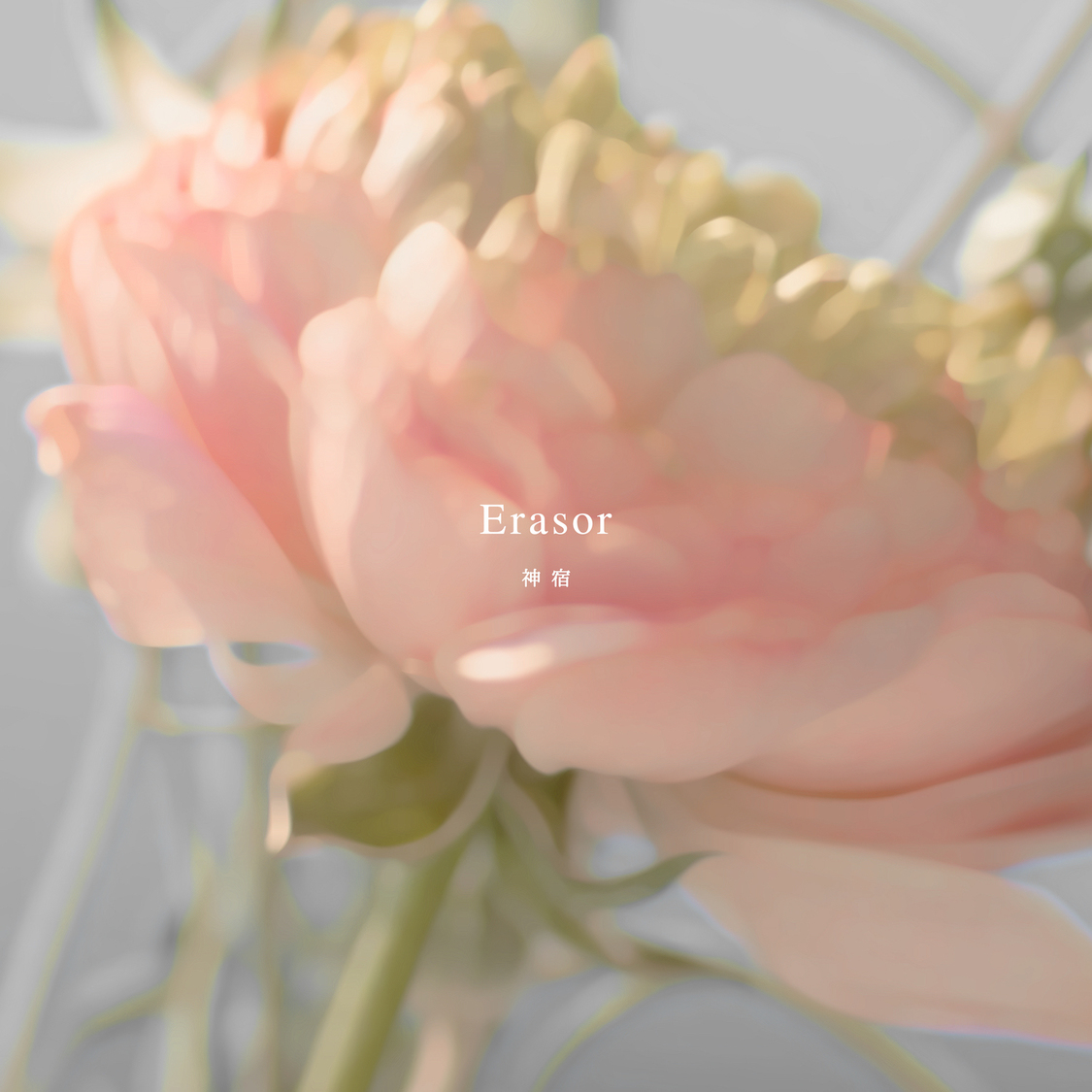「Erasor」