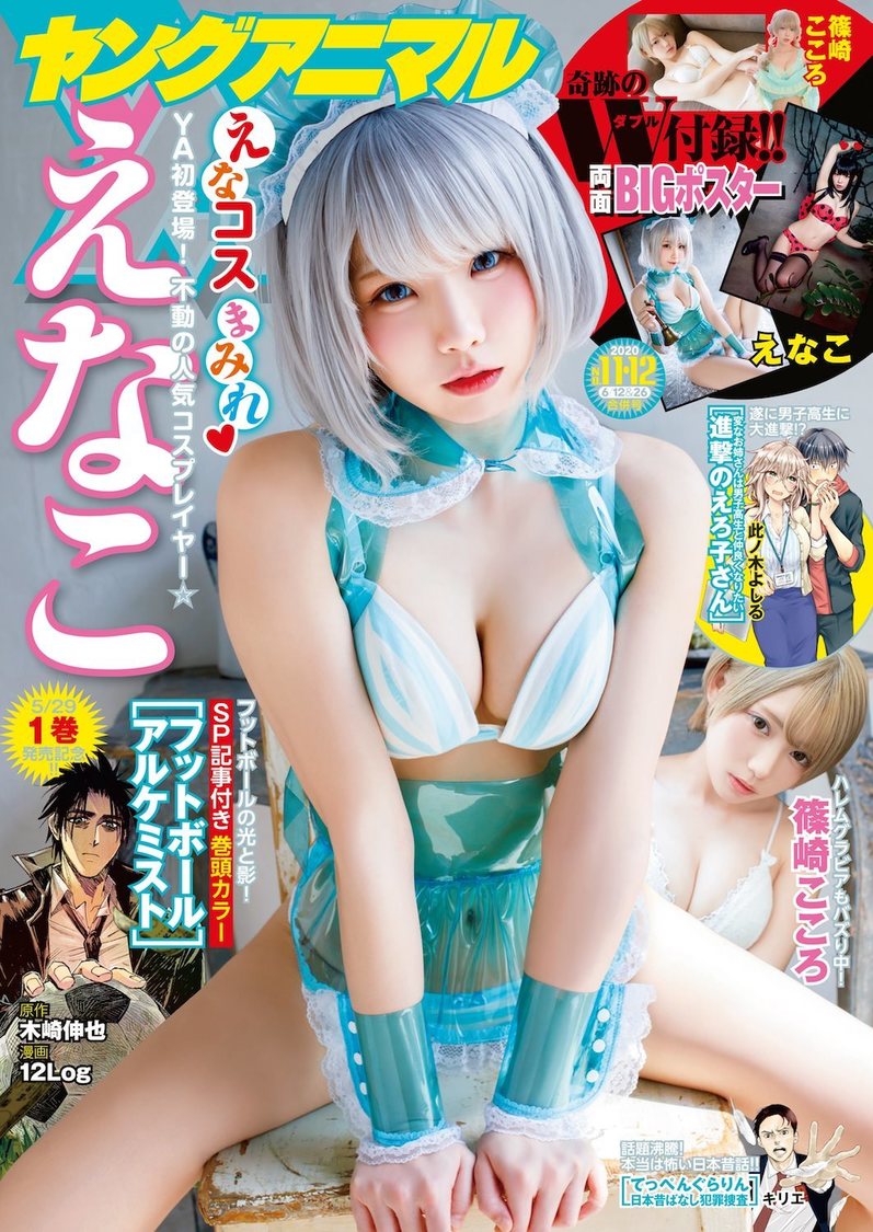 『ヤングアニマル』（白泉社刊）11・12合併号