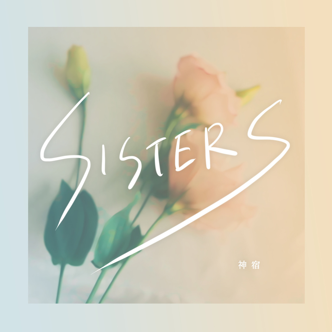 神宿「SISTERS」