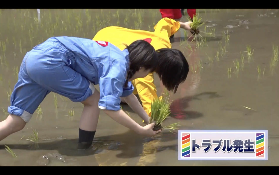 『全農 presents 届け！ファンファーム』より