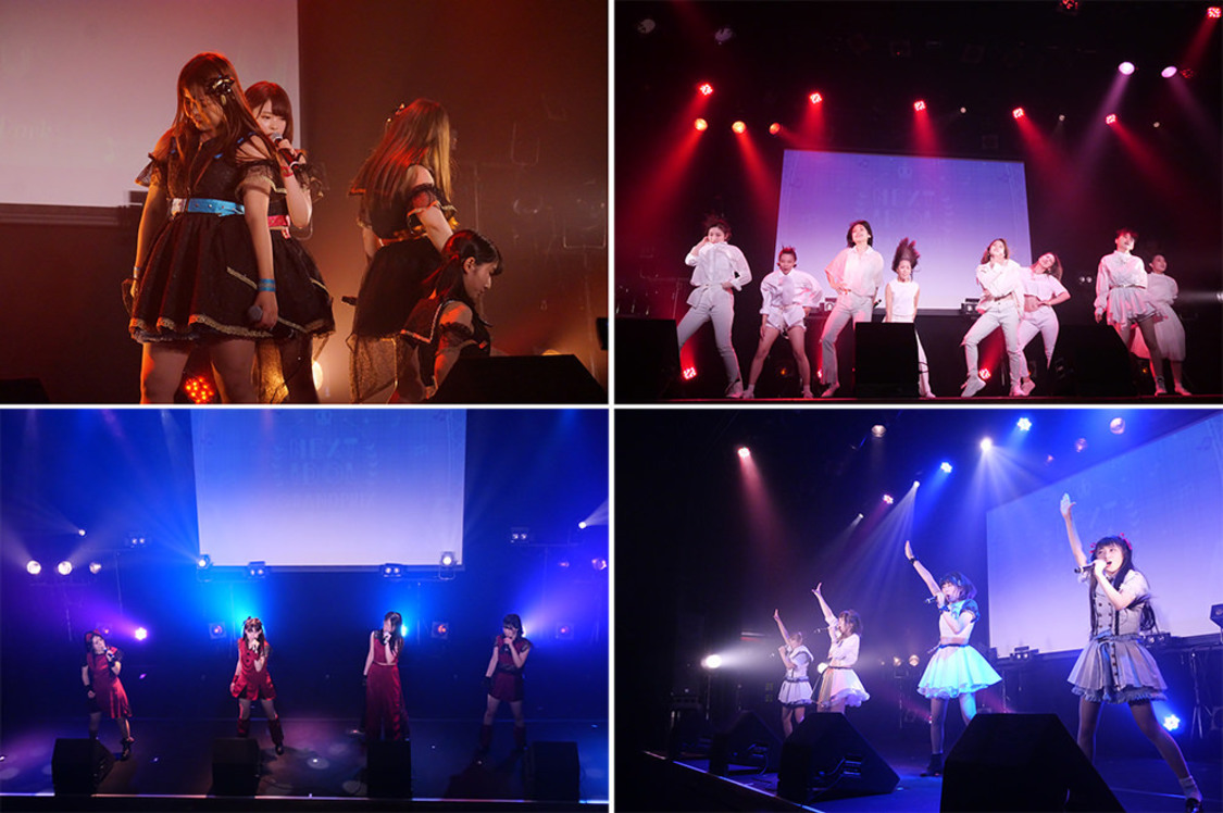 写真左上から時計回りにACR*0̸、ChawChaw、Marble-Maple、Sparky Shadow