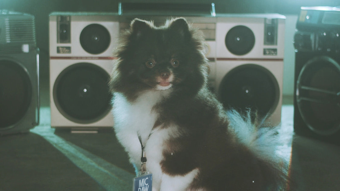 MIC RAW RUGA(laboratory)「dog kawaii」MVより