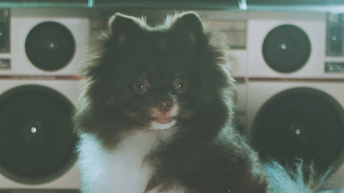 MIC RAW RUGA(laboratory)「dog kawaii」MVより