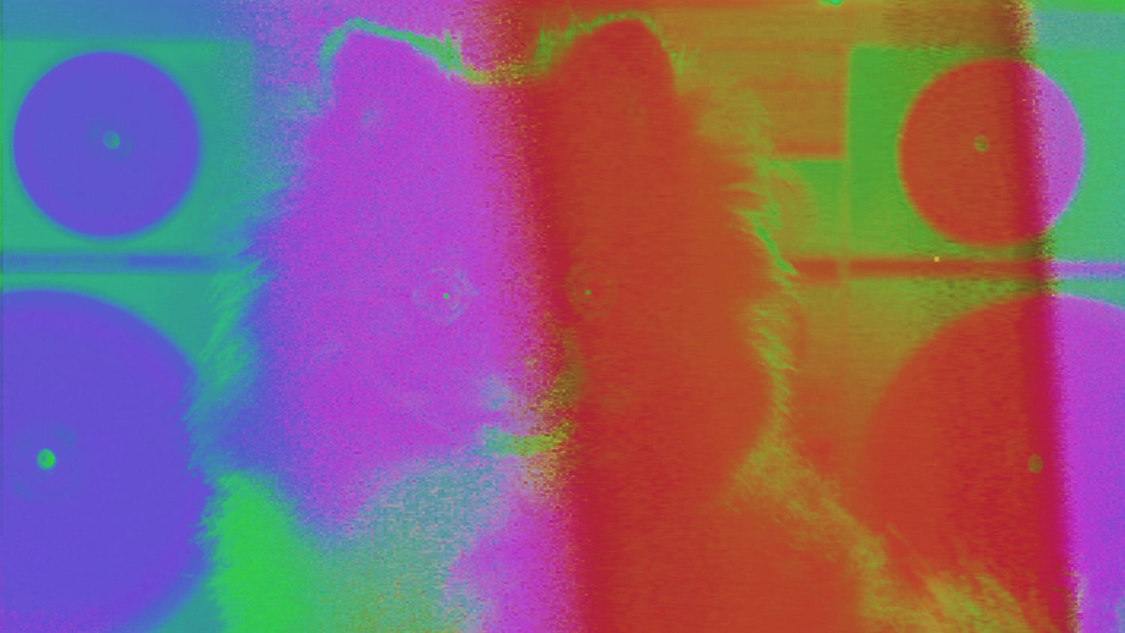 MIC RAW RUGA(laboratory)「dog kawaii」MVより