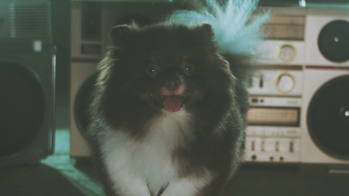 MIC RAW RUGA(laboratory)「dog kawaii」MVより