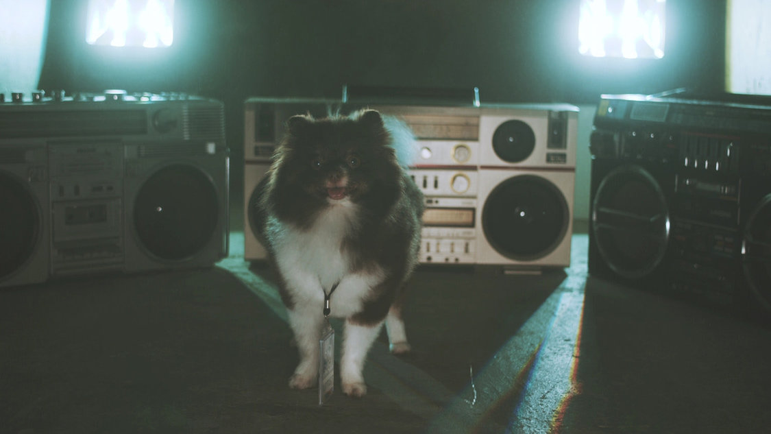 MIC RAW RUGA(laboratory)「dog kawaii」MVより