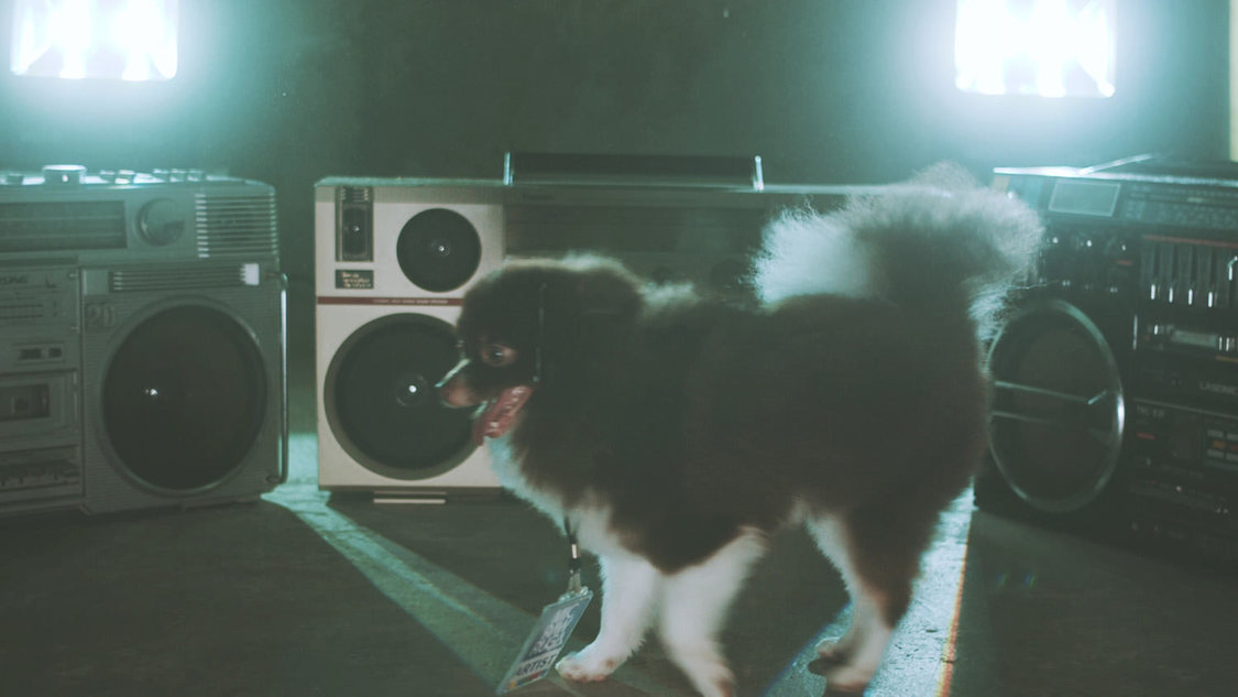 MIC RAW RUGA(laboratory)「dog kawaii」MVより