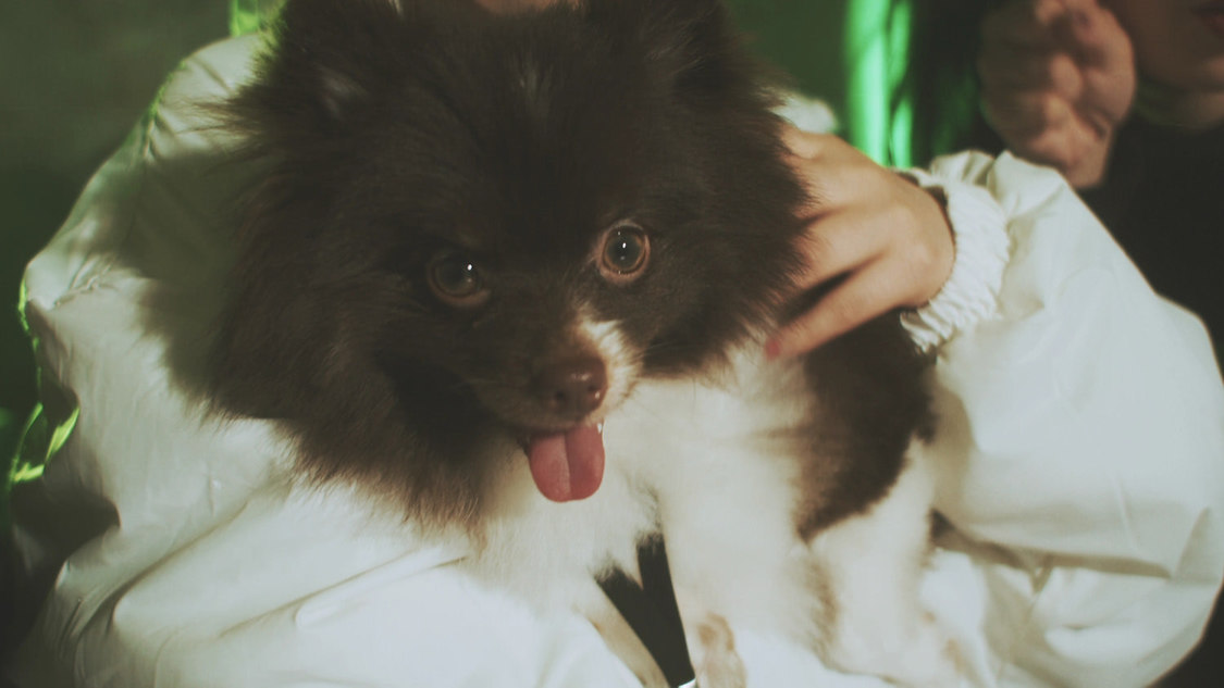 MIC RAW RUGA(laboratory)「dog kawaii」MVより