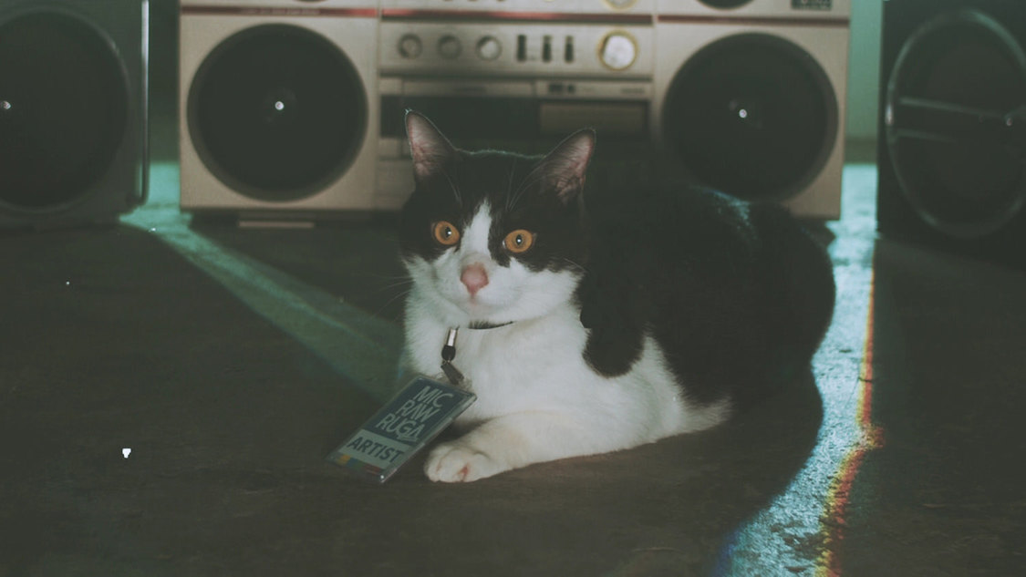 MIC RAW RUGA(laboratory)「dog kawaii」MVより