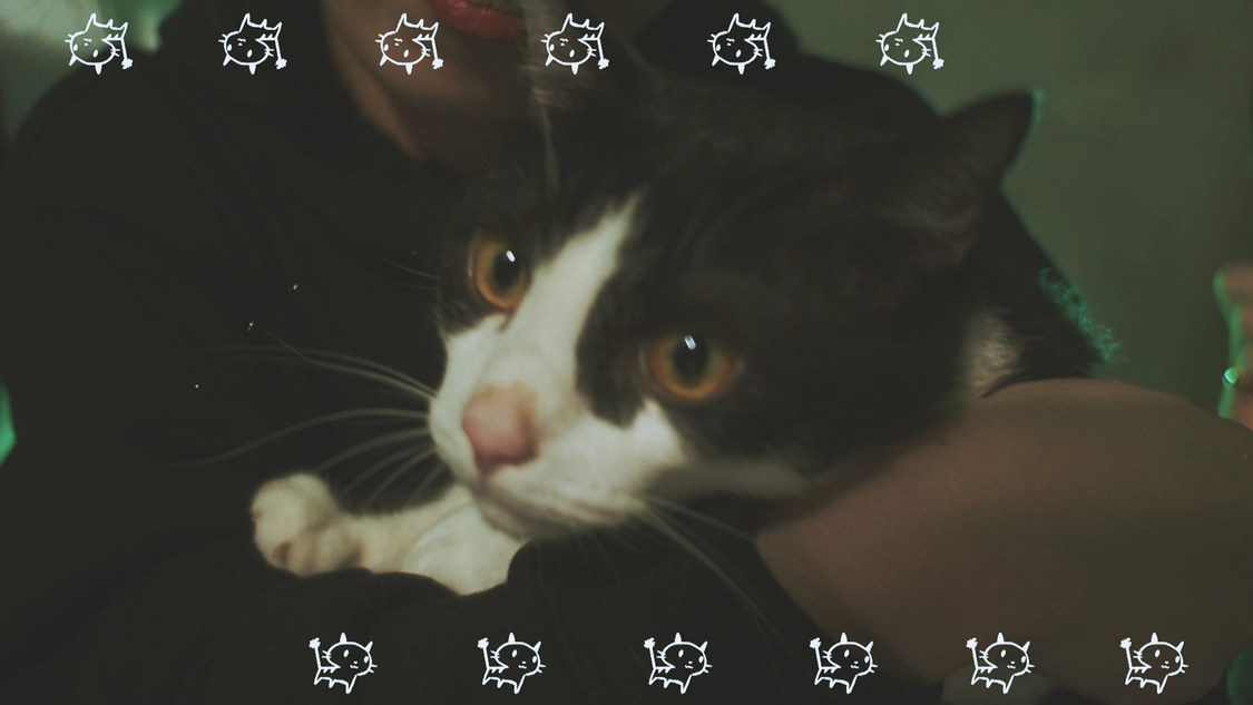 MIC RAW RUGA(laboratory)「dog kawaii」MVより