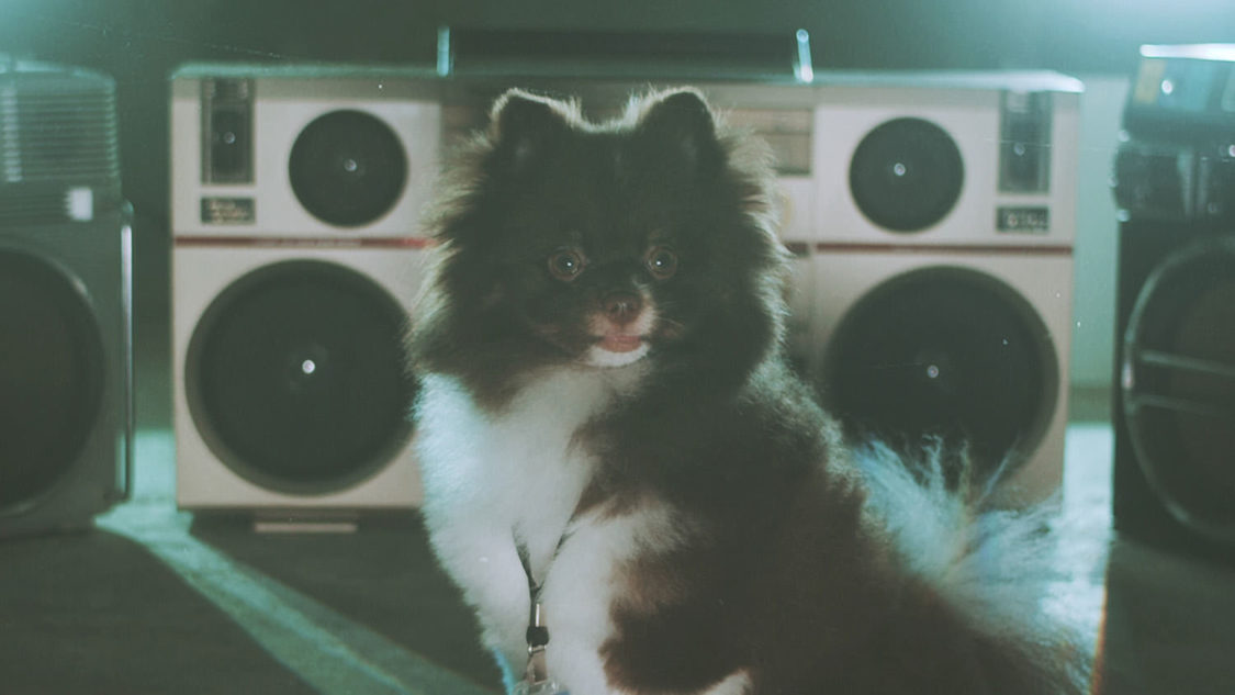 MIC RAW RUGA(laboratory)「dog kawaii」MVより