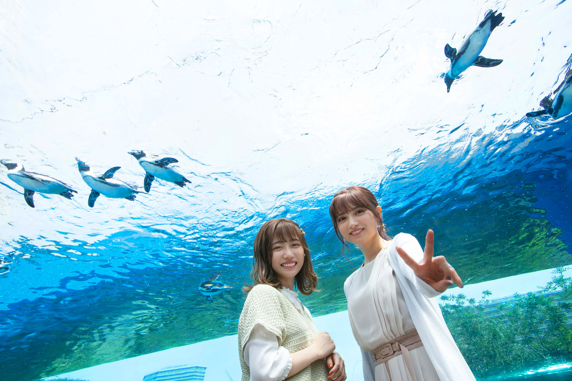 桃月なしこ＆来栖りん（26時のマスカレイド）　(c)佐賀章広／EX大衆