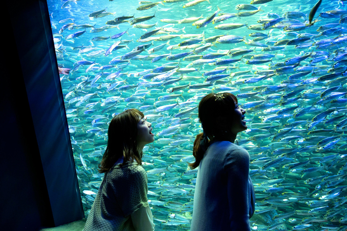 桃月なしこ＆来栖りん（26時のマスカレイド）　(c)佐賀章広／EX大衆