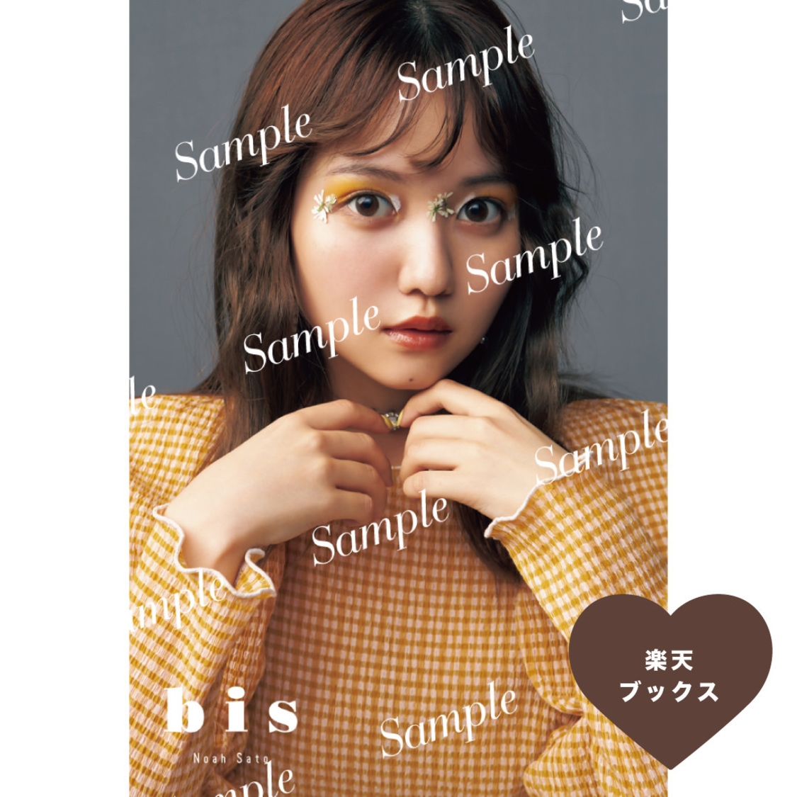 楽天ブックス（佐藤ノア）