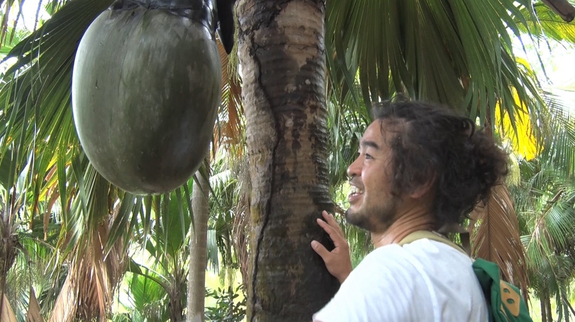 植物界ヤバイヤー